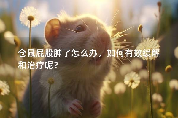 仓鼠屁股肿了怎么办，如何有效缓解和治疗呢？