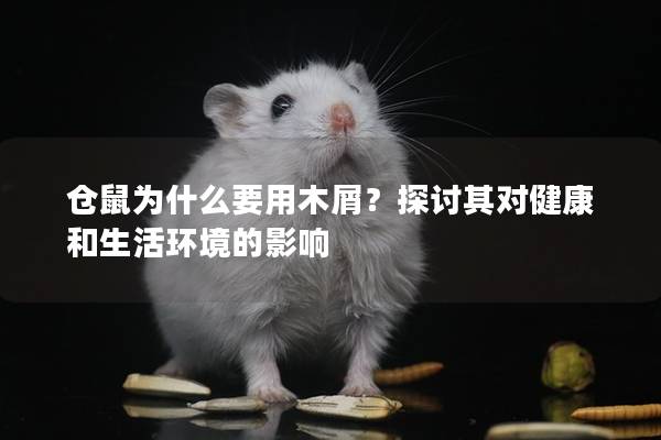 仓鼠为什么要用木屑？探讨其对健康和生活环境的影响
