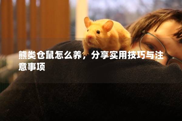 熊类仓鼠怎么养，分享实用技巧与注意事项