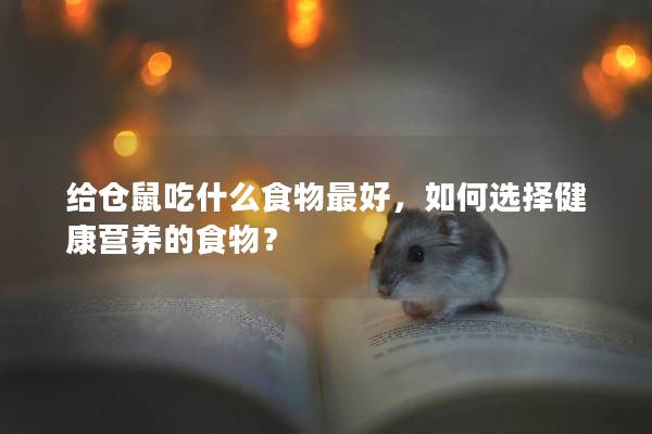 给仓鼠吃什么食物最好，如何选择健康营养的食物？