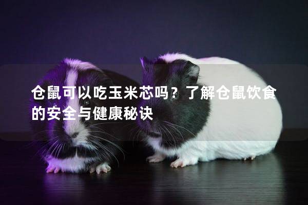 仓鼠可以吃玉米芯吗？了解仓鼠饮食的安全与健康秘诀
