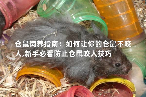仓鼠饲养指南：如何让你的仓鼠不咬人,新手必看防止仓鼠咬人技巧