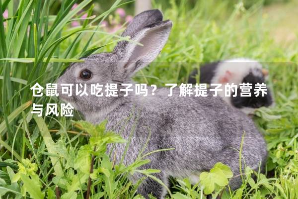 仓鼠可以吃提子吗？了解提子的营养与风险
