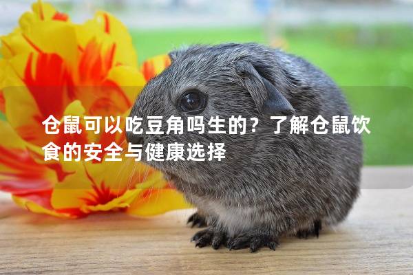 仓鼠可以吃豆角吗生的？了解仓鼠饮食的安全与健康选择