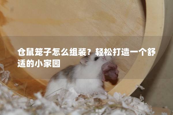 仓鼠笼子怎么组装？轻松打造一个舒适的小家园