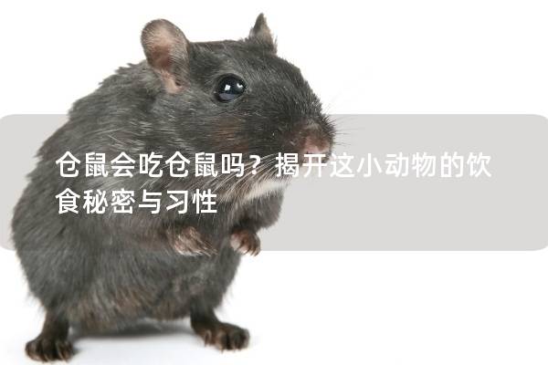 仓鼠会吃仓鼠吗？揭开这小动物的饮食秘密与习性