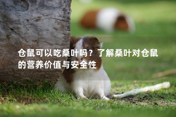 仓鼠可以吃桑叶吗？了解桑叶对仓鼠的营养价值与安全性
