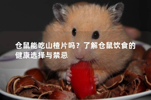 仓鼠能吃山楂片吗？了解仓鼠饮食的健康选择与禁忌