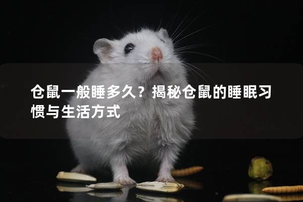 仓鼠一般睡多久？揭秘仓鼠的睡眠习惯与生活方式