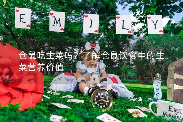 仓鼠吃生菜吗？了解仓鼠饮食中的生菜营养价值