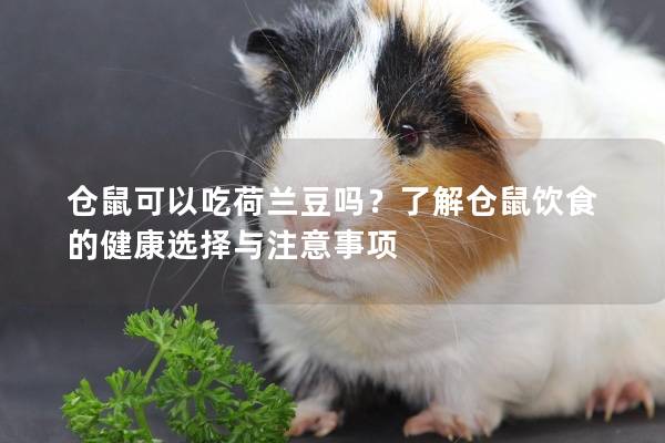 仓鼠可以吃荷兰豆吗？了解仓鼠饮食的健康选择与注意事项
