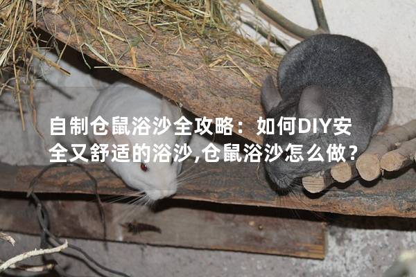 自制仓鼠浴沙全攻略：如何DIY安全又舒适的浴沙,仓鼠浴沙怎么做？