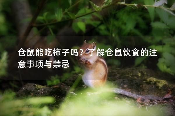 仓鼠能吃柿子吗？了解仓鼠饮食的注意事项与禁忌