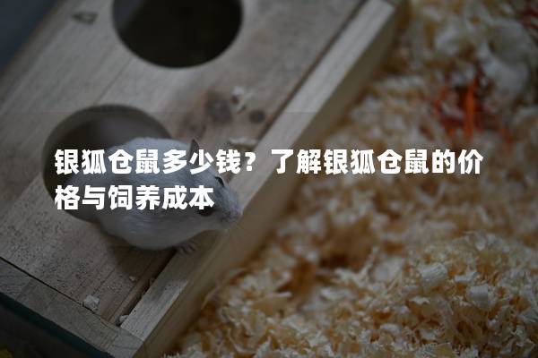 银狐仓鼠多少钱？了解银狐仓鼠的价格与饲养成本