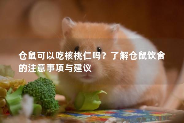 仓鼠可以吃核桃仁吗？了解仓鼠饮食的注意事项与建议