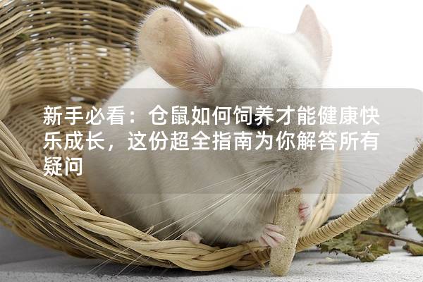新手必看：仓鼠如何饲养才能健康快乐成长，这份超全指南为你解答所有疑问