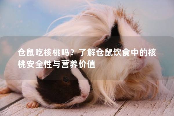 仓鼠吃核桃吗？了解仓鼠饮食中的核桃安全性与营养价值