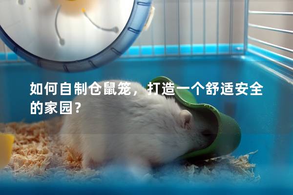 如何自制仓鼠笼，打造一个舒适安全的家园？