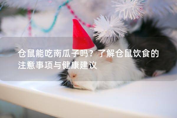 仓鼠能吃南瓜子吗？了解仓鼠饮食的注意事项与健康建议