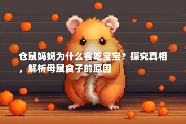 仓鼠妈妈为什么会吃宝宝？探究真相，解析母鼠食子的原因