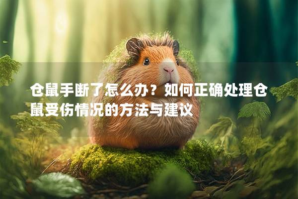 仓鼠手断了怎么办？如何正确处理仓鼠受伤情况的方法与建议