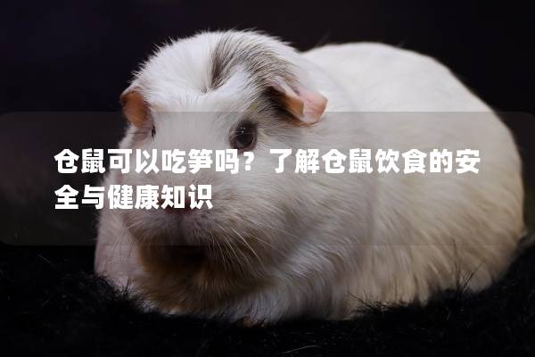 仓鼠可以吃笋吗？了解仓鼠饮食的安全与健康知识