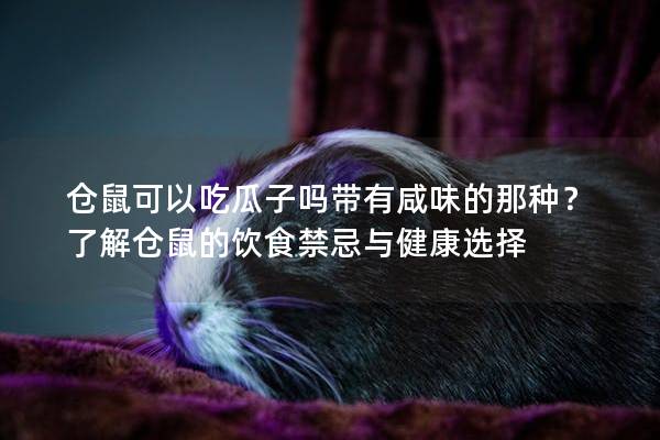 仓鼠可以吃瓜子吗带有咸味的那种？了解仓鼠的饮食禁忌与健康选择