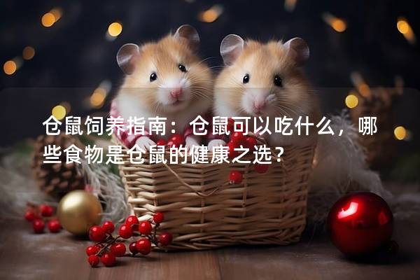 仓鼠饲养指南：仓鼠可以吃什么，哪些食物是仓鼠的健康之选？