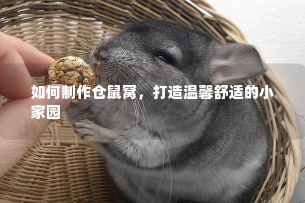 如何制作仓鼠窝，打造温馨舒适的小家园