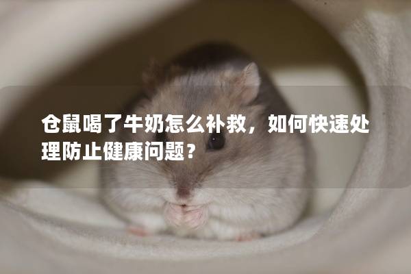 仓鼠喝了牛奶怎么补救，如何快速处理防止健康问题？