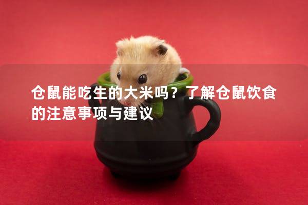 仓鼠能吃生的大米吗？了解仓鼠饮食的注意事项与建议