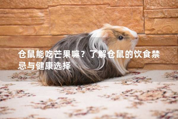 仓鼠能吃芒果嘛？了解仓鼠的饮食禁忌与健康选择