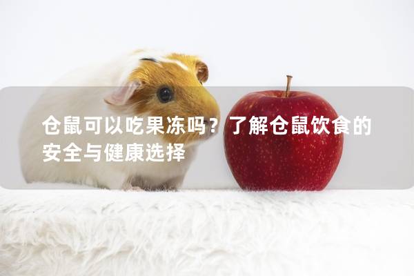 仓鼠可以吃果冻吗？了解仓鼠饮食的安全与健康选择
