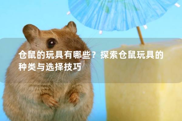仓鼠的玩具有哪些？探索仓鼠玩具的种类与选择技巧