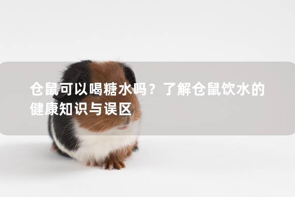 仓鼠可以喝糖水吗？了解仓鼠饮水的健康知识与误区