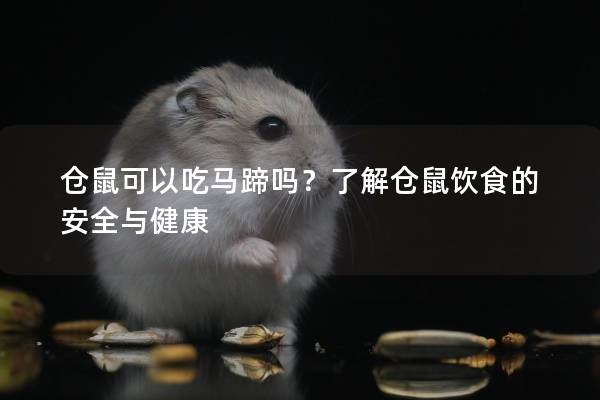仓鼠可以吃马蹄吗？了解仓鼠饮食的安全与健康