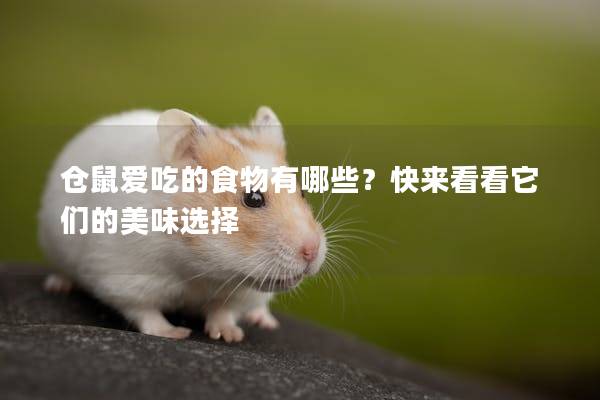 仓鼠爱吃的食物有哪些？快来看看它们的美味选择
