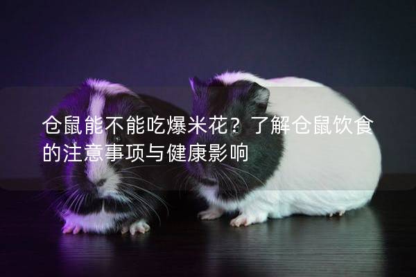 仓鼠能不能吃爆米花？了解仓鼠饮食的注意事项与健康影响