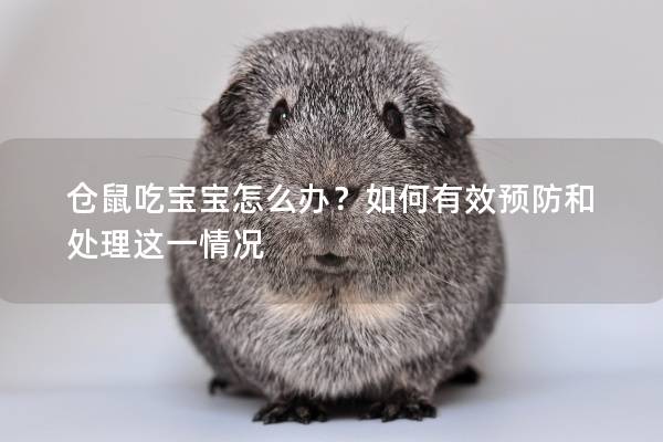仓鼠吃宝宝怎么办？如何有效预防和处理这一情况