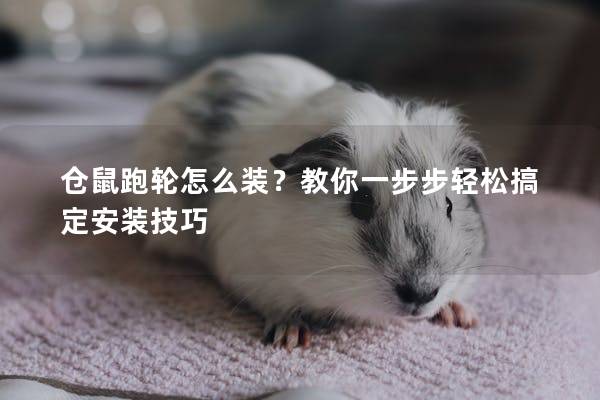仓鼠跑轮怎么装？教你一步步轻松搞定安装技巧
