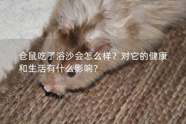 仓鼠吃了浴沙会怎么样？对它的健康和生活有什么影响？