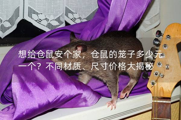 想给仓鼠安个家，仓鼠的笼子多少元一个？不同材质、尺寸价格大揭秘