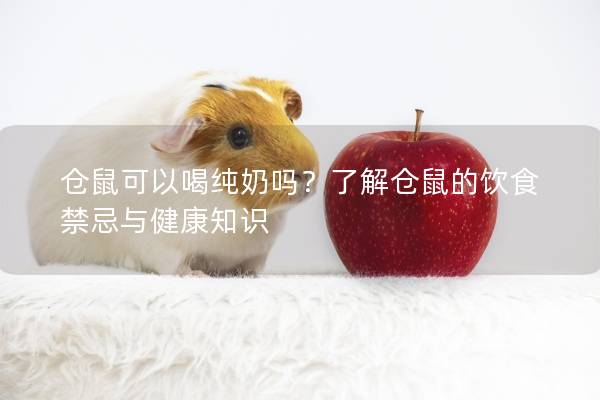 仓鼠可以喝纯奶吗？了解仓鼠的饮食禁忌与健康知识