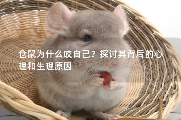 仓鼠为什么咬自己？探讨其背后的心理和生理原因