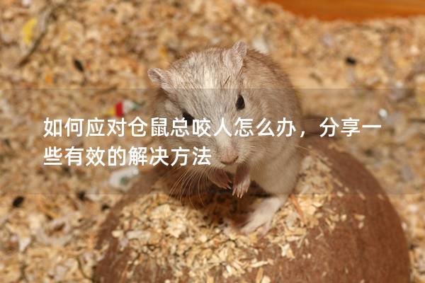 如何应对仓鼠总咬人怎么办，分享一些有效的解决方法