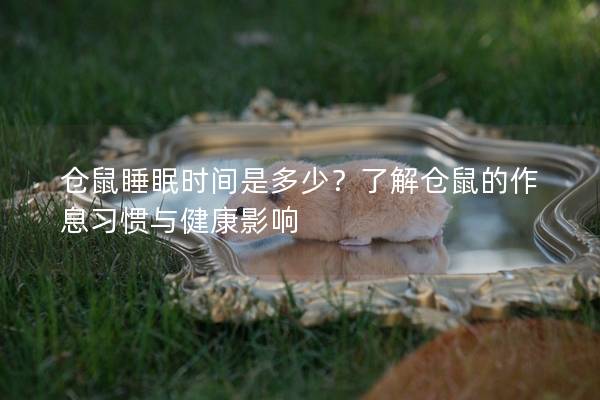 仓鼠睡眠时间是多少？了解仓鼠的作息习惯与健康影响