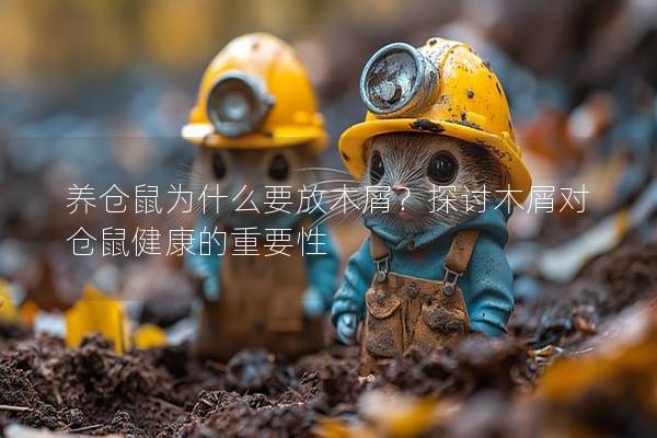养仓鼠为什么要放木屑？探讨木屑对仓鼠健康的重要性