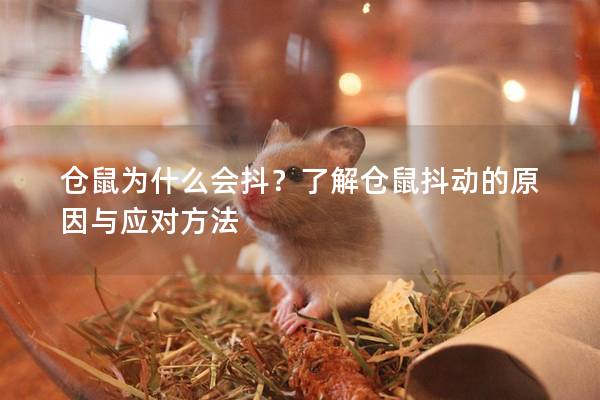 仓鼠为什么会抖？了解仓鼠抖动的原因与应对方法