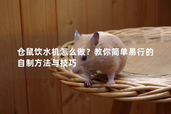 仓鼠饮水机怎么做？教你简单易行的自制方法与技巧