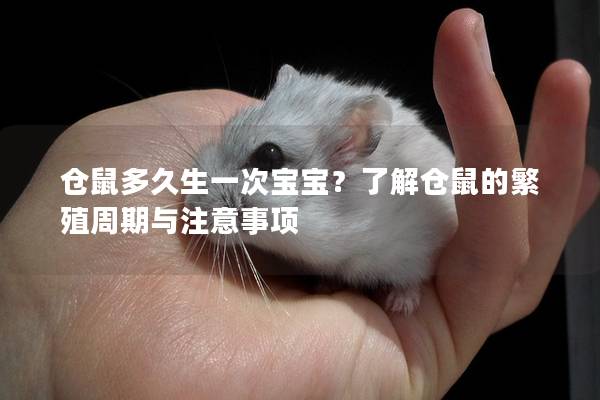 仓鼠多久生一次宝宝？了解仓鼠的繁殖周期与注意事项
